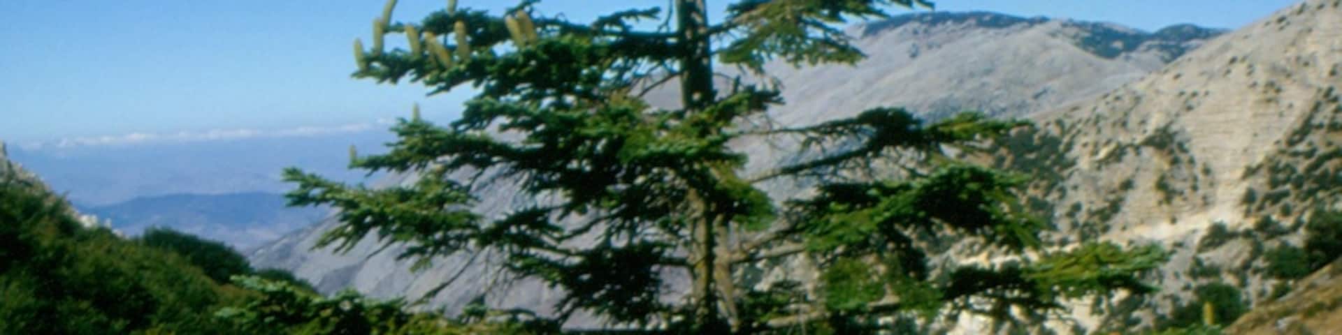 Polizzi Generosa, Sicilia, Italia