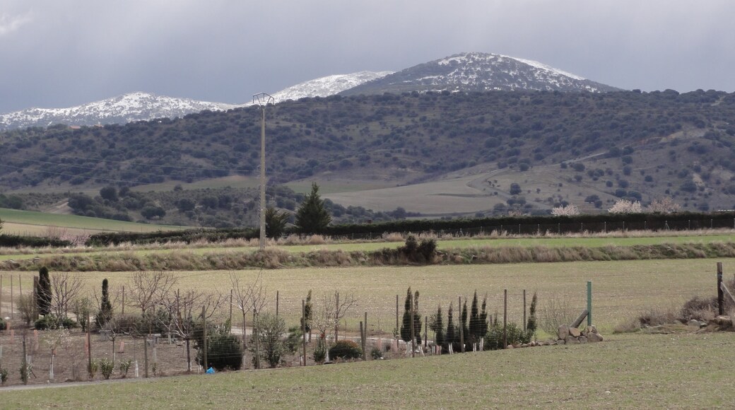 Zarzuela del Monte, Castile and León, Spain