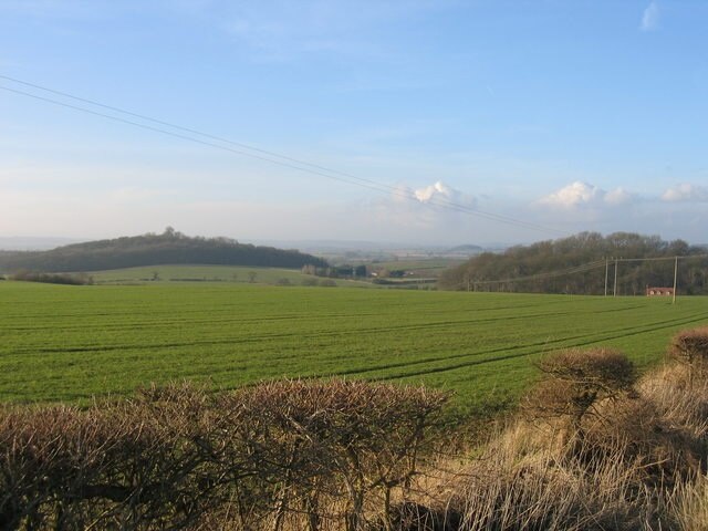 Foto „Haselor CP“ von David Stowell (CC BY-SA)/zugeschnittenes Original