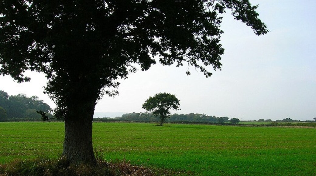 Foto "Selmeston" de Simon Carey (CC BY-SA) / Recortada do original