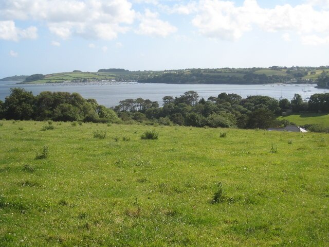 Pasture at Pill Farm Mylor Yacht Harbour in the far distance.