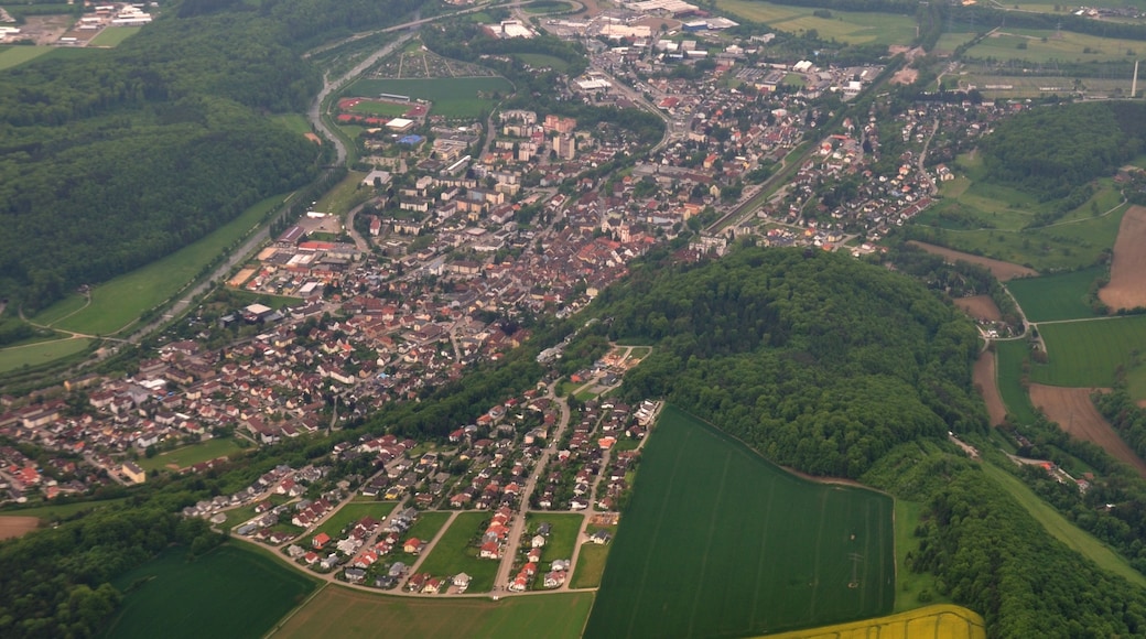 Photo "Waldshut-Tiengen" by Simisa (CC BY-SA) / Cropped from original