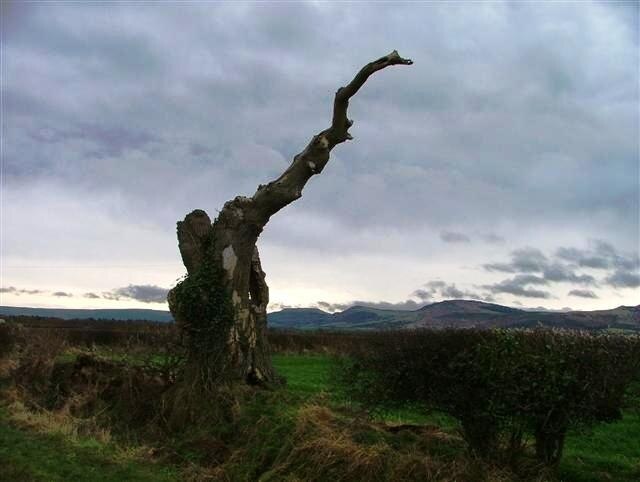 Billede "Sexhow" af Mick Garratt (CC BY-SA) / beskåret fra det originale billede