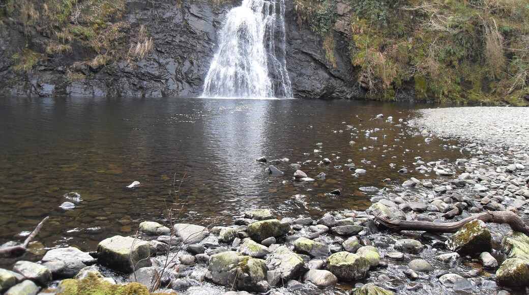 Billede "Ceunant Llennyrch National Nature Reserve" af Keith Ruffles (CC BY) / beskåret fra det originale billede