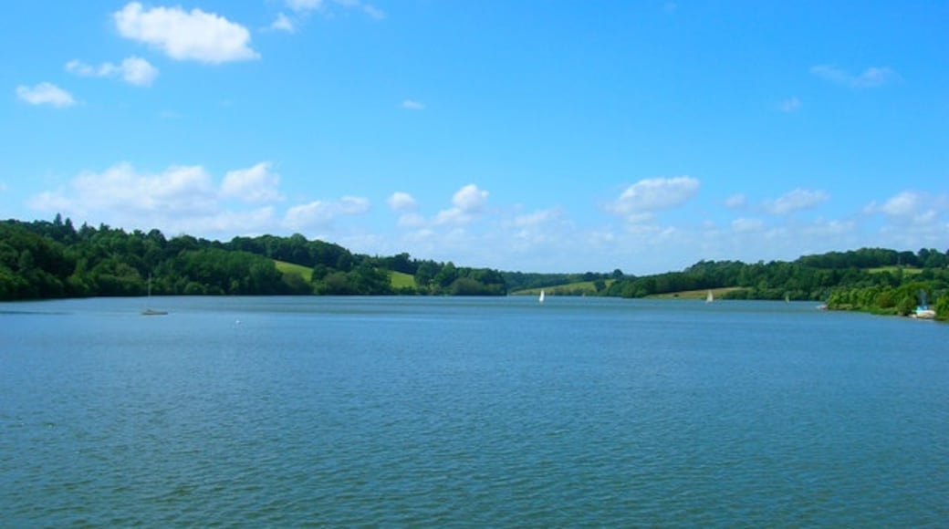 Foto ‘Ardingly Reservoir’ van Simon Carey (CC BY-SA) / bijgesneden versie van origineel