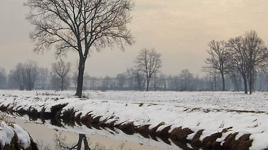 Photo "Campo in neve - Basiglio" by Zhang Yuan (Creative Commons Attribution 3.0) / Cropped from original