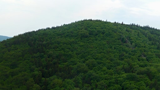 Photo "Misto" by lukaszafer@email.cz (CC BY) / Cropped from original