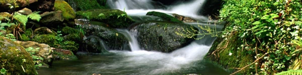 Photo "Fragas del Eume" by Javier B (Creative Commons Attribution 3.0) / Cropped from original