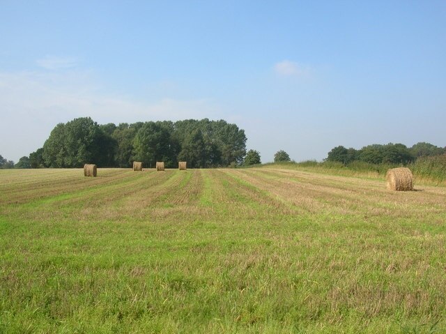 Kuva ”Warthill” käyttäjältä DS Pugh (CC BY-SA) / rajattu alkuperäisestä kuvasta