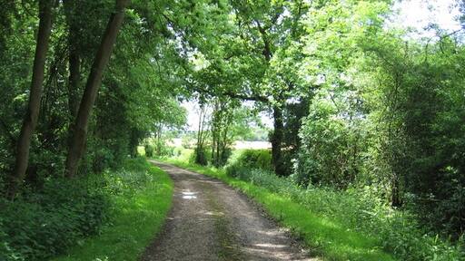 Photo "Bickmarsh" by David Stowell (CC BY-SA) / Cropped from original