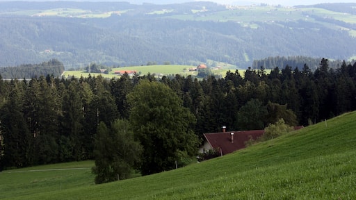 « Scheidegg», photo de Dguendel (page does not exist) (CC BY) / rognée de l’originale