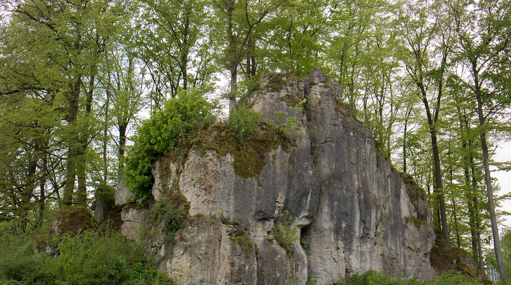Geotop Druidenstein (474R034) in Hiltpoltstein, Naturdenkmal ND-04511