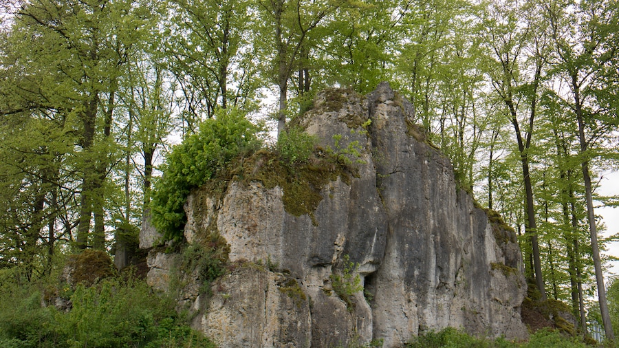 Photo "Geotop Druidenstein (474R034) in Hiltpoltstein, Naturdenkmal ND-04511" by undefined (Creative Commons Zero, Public Domain Dedication) / Cropped from original