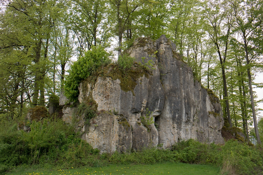 Geotop Druidenstein (474R034) in Hiltpoltstein, Naturdenkmal ND-04511