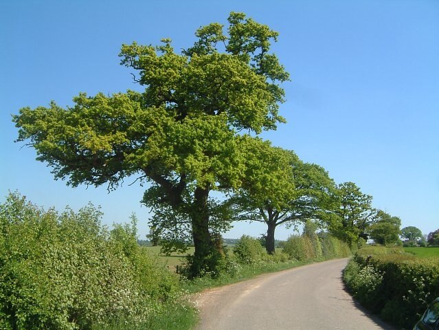 Photo "Longden" by Andrew Bennett (CC BY-SA) / Cropped from original