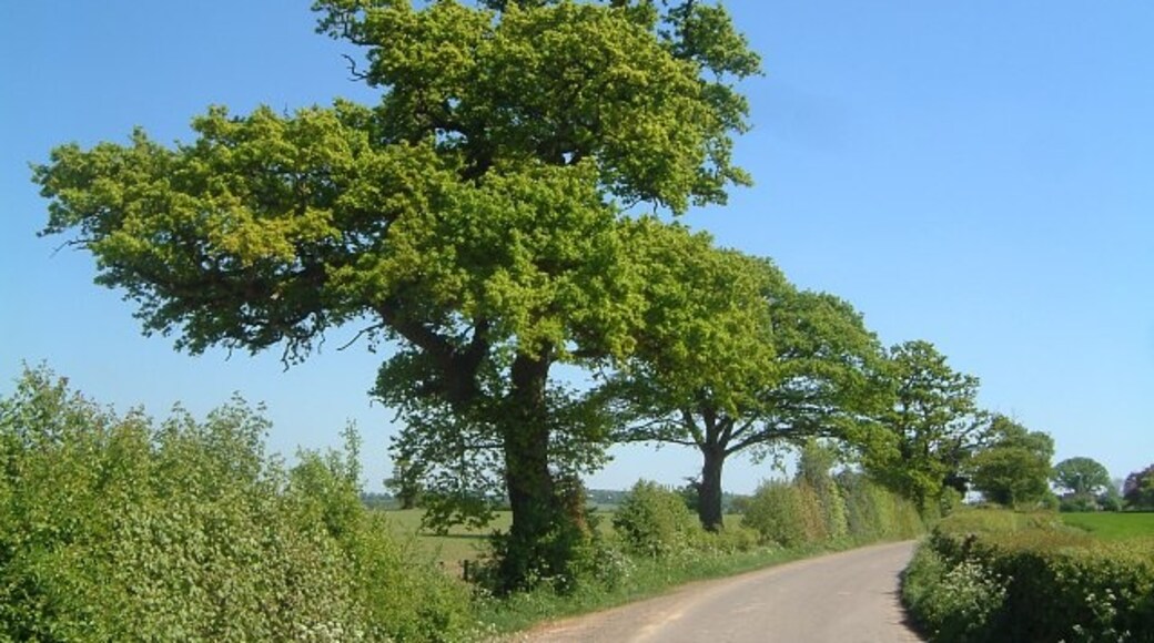 Photo "Longden" by Andrew Bennett (CC BY-SA) / Cropped from original