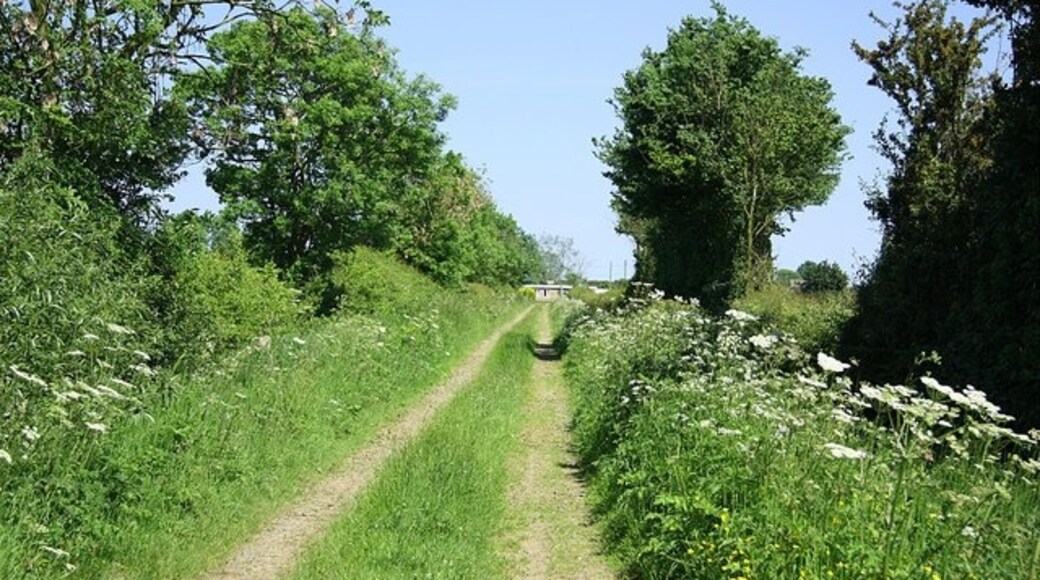 Foto “Fenton” tomada por Richard Croft (CC BY-SA); recorte de la original