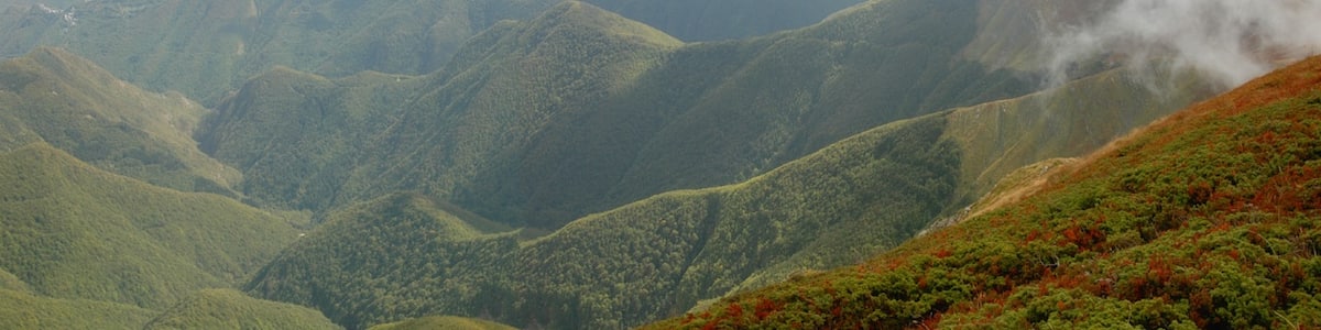 Photo "Dal Corno alle scale la valle verso Pianaccio" by Lorenzo Pavani (Creative Commons Attribution-Share Alike 3.0) / Cropped from original