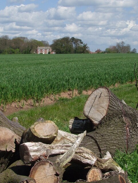 Photo "Wawne" by Paul Harrop (CC BY-SA) / Cropped from original