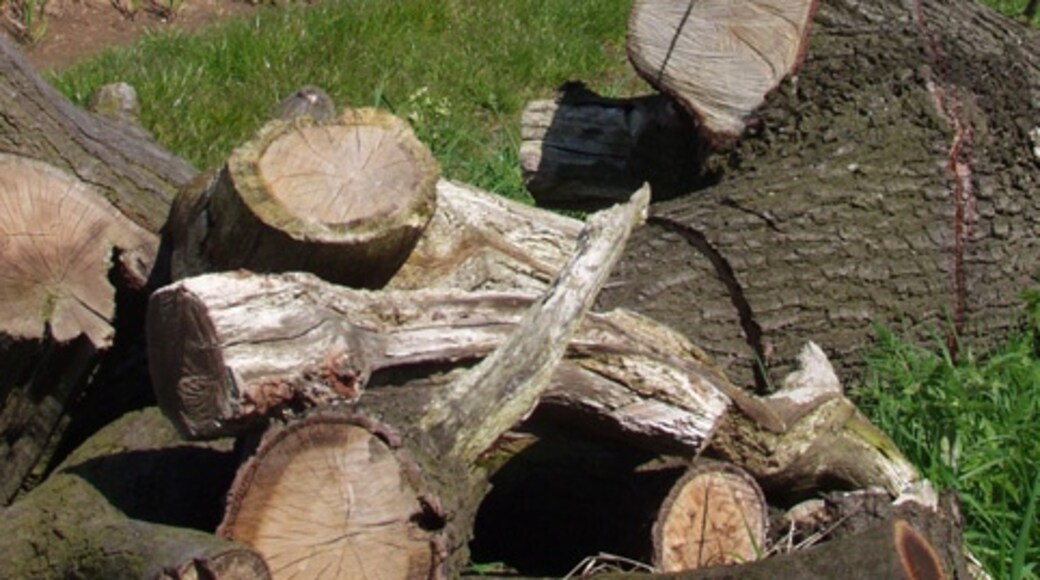 Photo "Wawne" by Paul Harrop (CC BY-SA) / Cropped from original