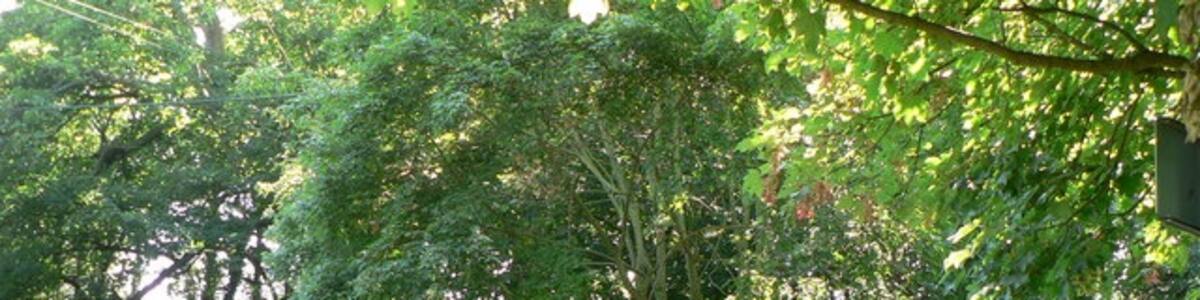 Photo "Flemingston Crossroads" by Mick Lobb (Creative Commons Attribution-Share Alike 2.0) / Cropped from original