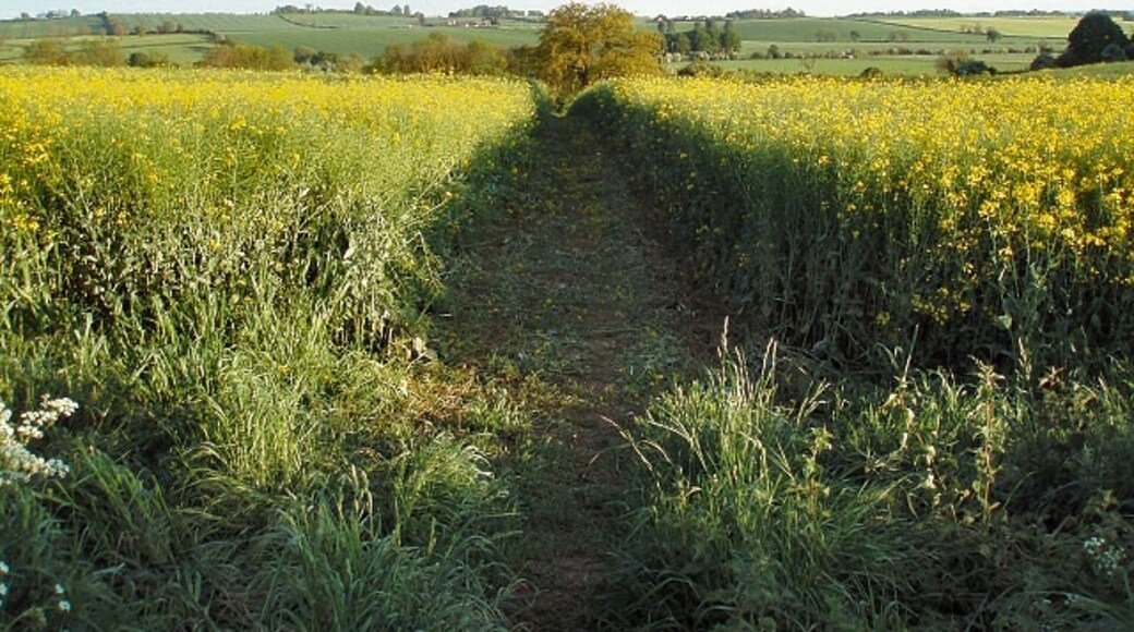 Photo "Middleton Cheney" by Duncan Lilly (CC BY-SA) / Cropped from original