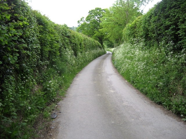 Lane near Lower Cwm Quiet country lane between Cwm and Lower Cwm near Mellington Hall.