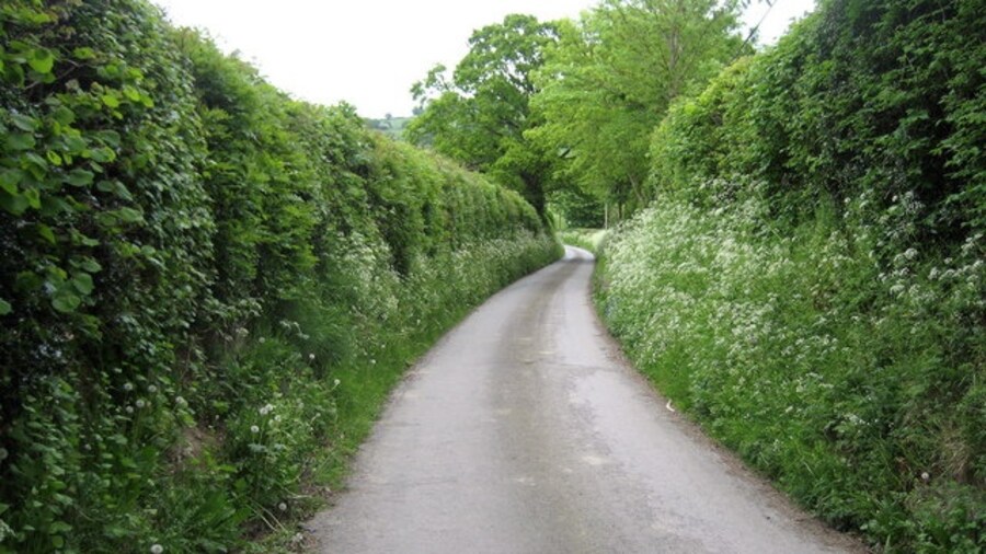 Photo "Lane near Lower Cwm Quiet country lane between Cwm and Lower Cwm near Mellington Hall." by Chris Heaton (Creative Commons Attribution-Share Alike 2.0) / Cropped from original