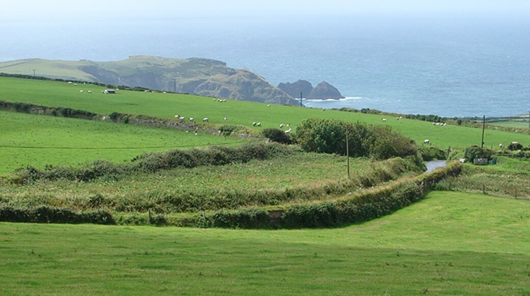 Foto "Trevalga" de OLU (CC BY-SA) / Recortada do original