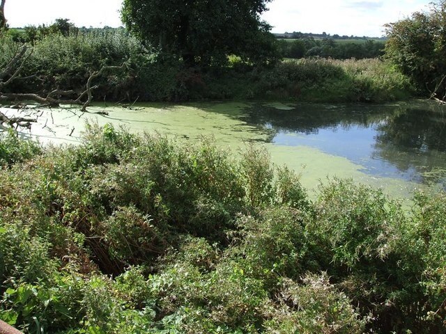 Foto „Hoggeston“ von Rob Farrow (CC BY-SA)/zugeschnittenes Original