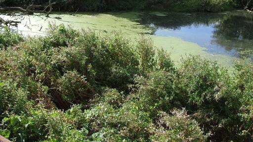 Foto „Hoggeston“ von Rob Farrow (CC BY-SA)/zugeschnittenes Original