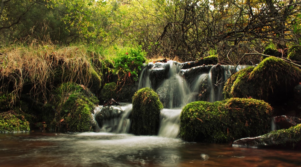 Foto "Parque Natural de la Dehesa del Moncayo" de Juanedc (CC BY) / Recortada do original