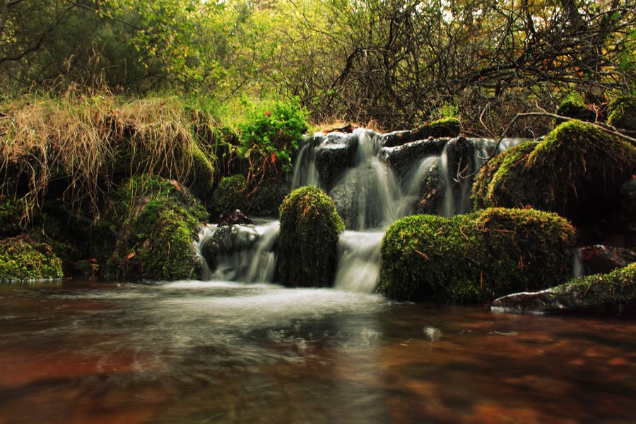 Dehesa del Moncayo, España