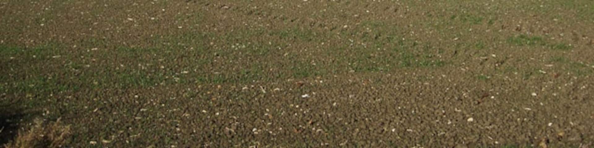 Ely Road From the end of Fox's Drove.