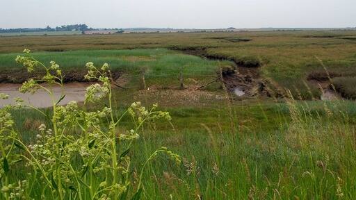 Photo "Peldon" by Glyn Baker (CC BY-SA) / Cropped from original