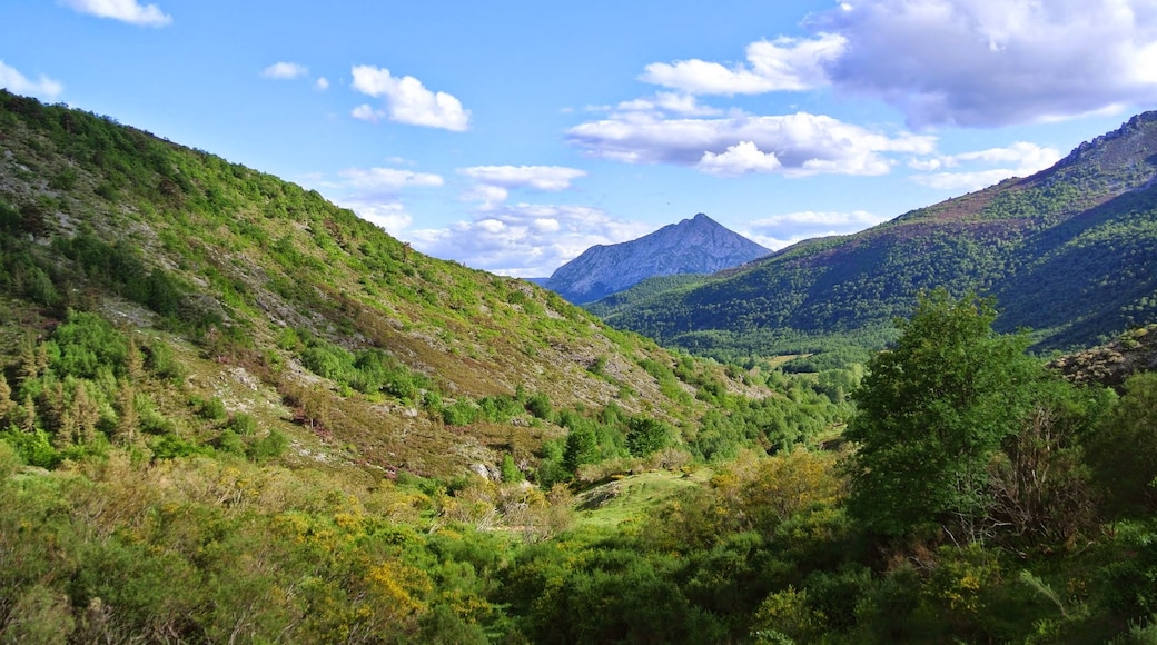 "Riaño and Mampodre Mountain Regional Park"-foto av Ben Bender (CC BY-SA) / Urklipp från original