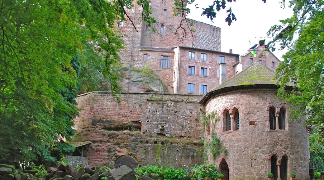 Foto „Burg Berwartstein“ von Guilia Samira (page does not exist) (CC BY-SA)/zugeschnittenes Original