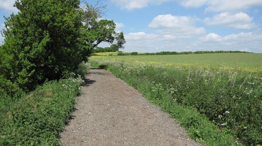 "Carlton"-foto av Hugh Venables (CC BY-SA) / Urklipp från original