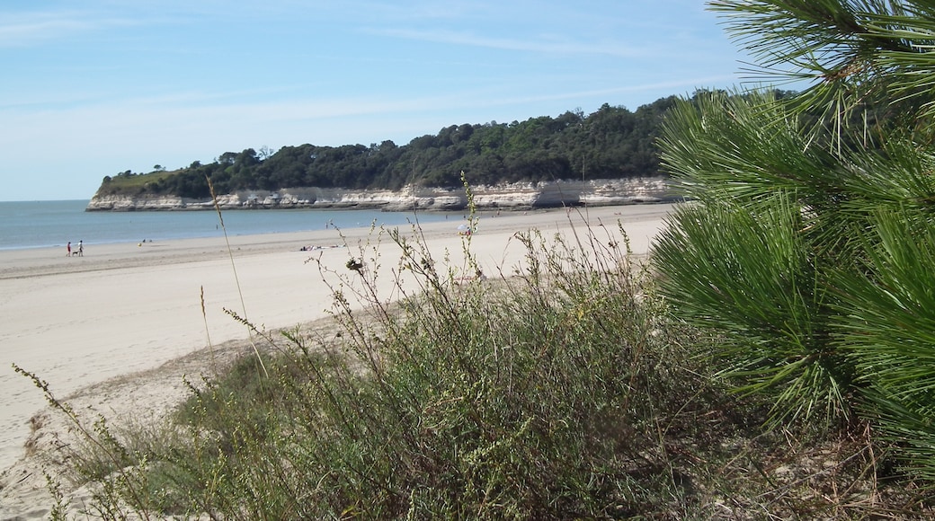 Photo "Gironde Estuary" by FrenchCobber (CC BY-SA) / Cropped from original