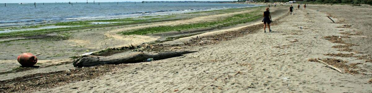 Photo "Lido di Volano" by Carlo Pelagalli (Creative Commons Attribution-Share Alike 3.0) / Cropped from original