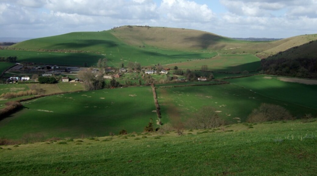 Foto "Fontmell and Melbury Downs" oleh Mike Searle (CC BY-SA) / Dipotong dari foto asli