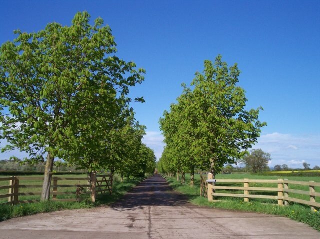 Billede "Chaceley" af Bob Embleton (CC BY-SA) / beskåret fra det originale billede