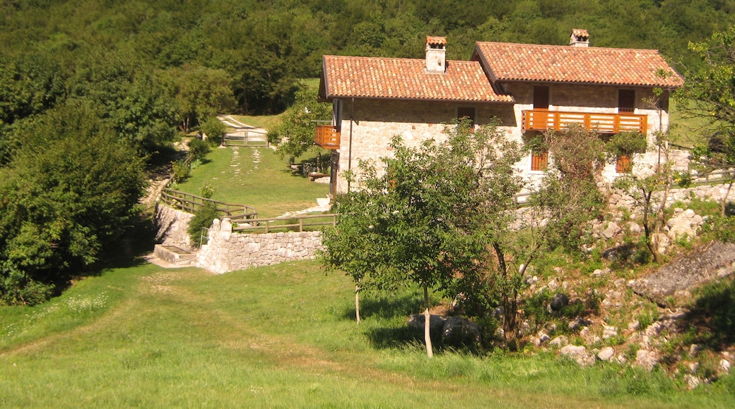 Bildet «Gemona del Friuli» tatt av iw3rua (CC BY-SA) / originalbilde beskjært