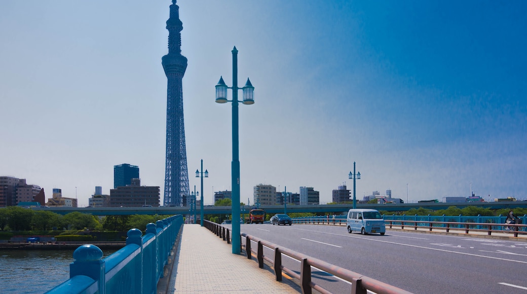 Sumida Park in Sumida Touren und Aktivitäten Expedia.de