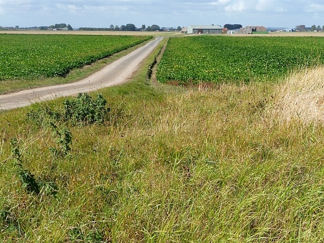 Foto „Wainfleet St Mary“ von Stephen Richards (CC BY-SA)/zugeschnittenes Original