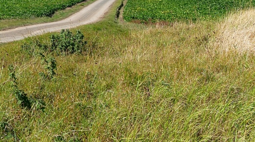 Kuva ”Wainfleet St Mary” käyttäjältä Stephen Richards (CC BY-SA) / rajattu alkuperäisestä kuvasta