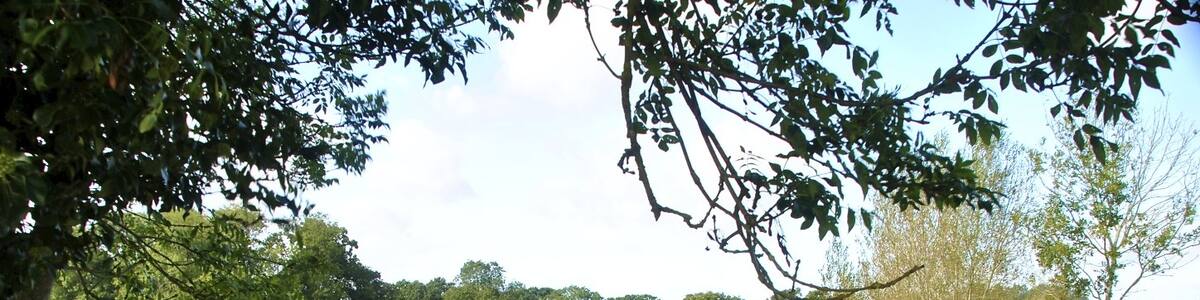 Photo "Marden Henge" by ian freeman (Creative Commons Attribution-Share Alike 3.0) / Cropped from original