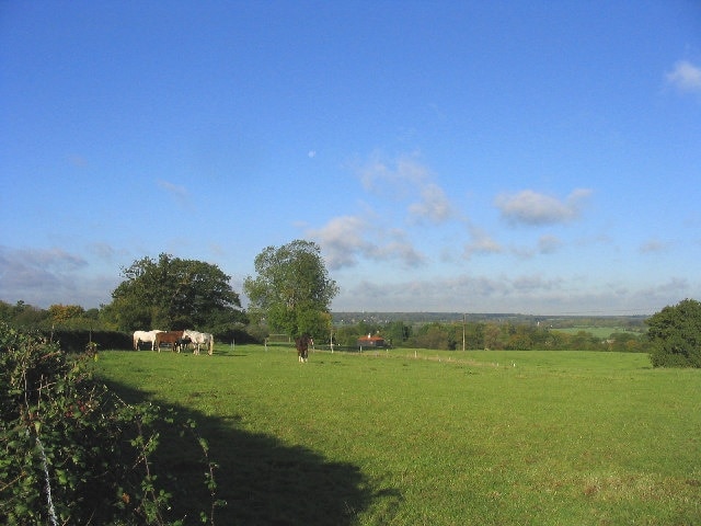 Horse Paddock, Ramsey Tyrells, Essex. Looking north-west from Ramsey Tyrells which lies about a mile west of the village of Stock.