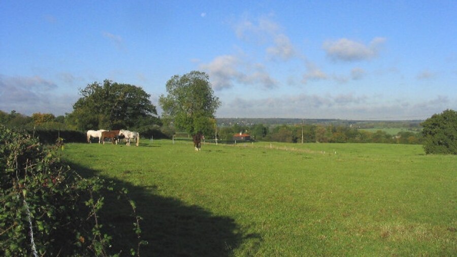 Photo "Horse Paddock, Ramsey Tyrells, Essex. Looking north-west from Ramsey Tyrells which lies about a mile west of the village of Stock." by John Winfield (Creative Commons Attribution-Share Alike 2.0) / Cropped from original