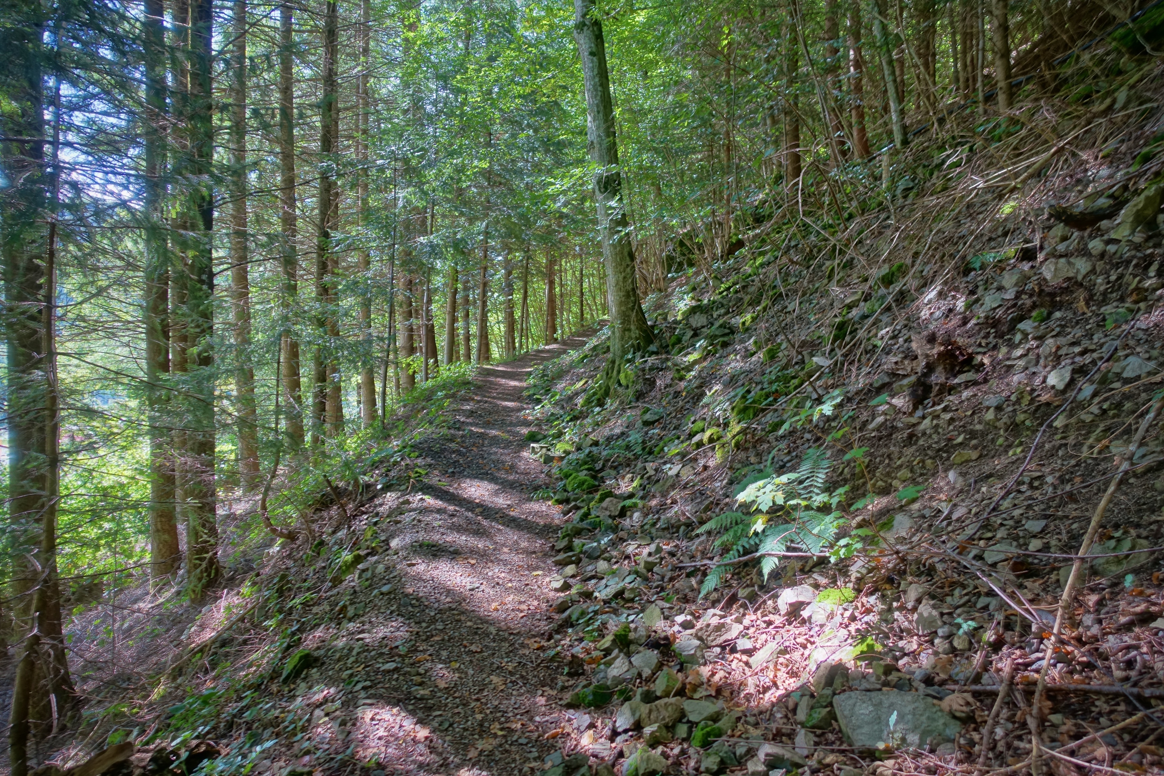 เกเชวีนด์